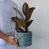 Eco-Resin Planter - Artisans Bloom